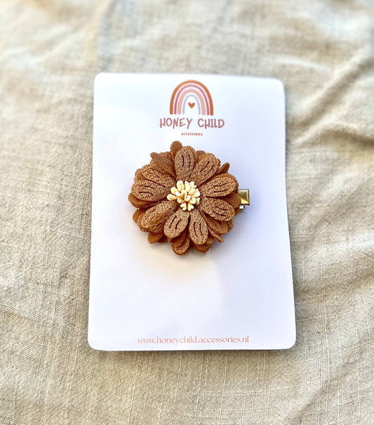 Aurora hair clips